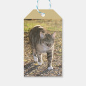 Brin Cadeaulabel (Voorkant)