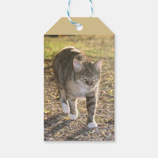 Brin Cadeaulabel (Voorkant)