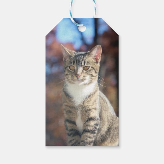 Brin Cadeaulabel (Voorkant)