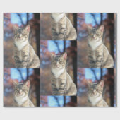 Brin Cadeaupapier (Vlak)