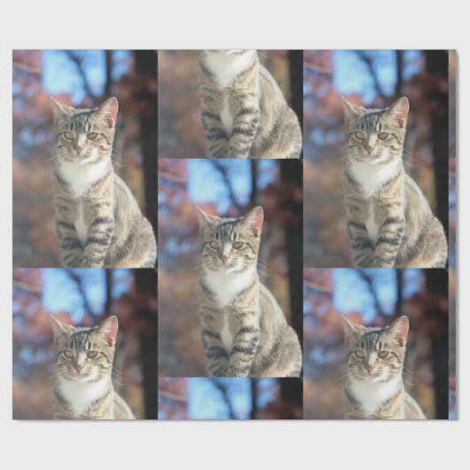 Brin Cadeaupapier (Vlak)