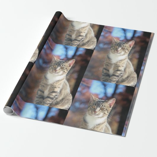 Brin Cadeaupapier (Uitgerold)