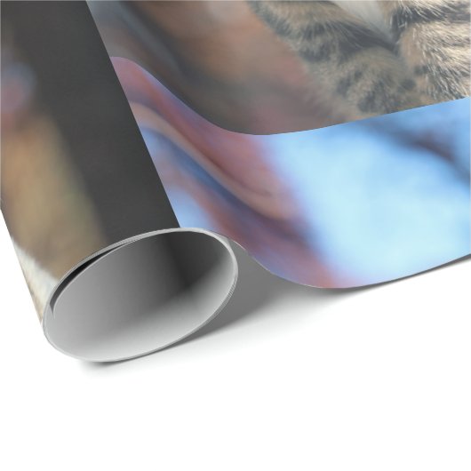 Brin Cadeaupapier (Rol Hoek)