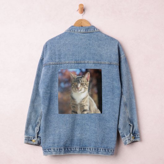 Brin Denim Jacket (Hangar)