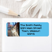 Brin Etiket (Insitu)