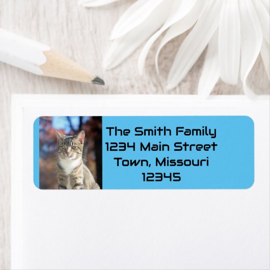 Brin Etiket (Insitu)