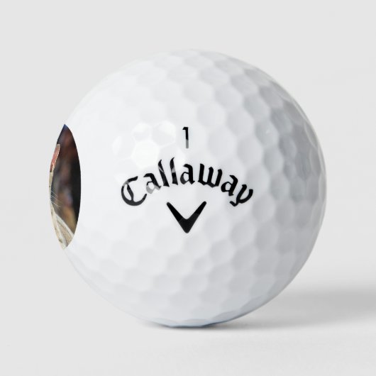 Brin Golfballen (Logo)