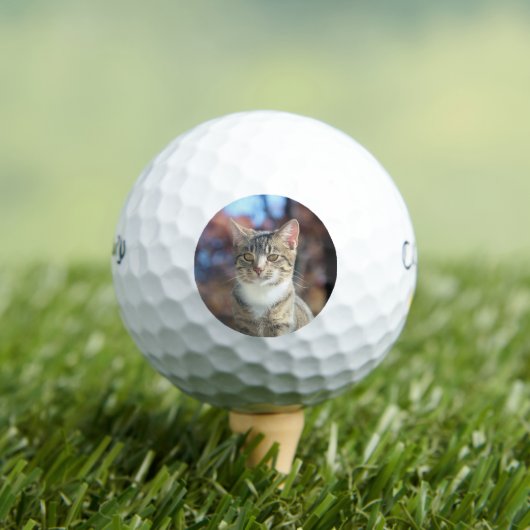 Brin Golfballen (Insitu Shirt)