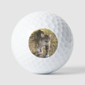Brin Golfballen (Voorkant)