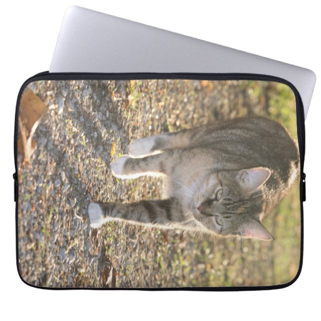 Brin Laptop Sleeve (Voorkant)