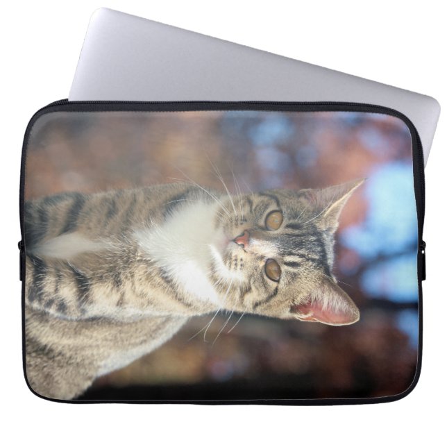 Brin Laptop Sleeve (Voorkant)