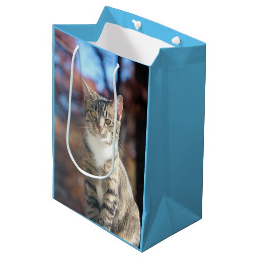 Brin Medium Cadeauzakje (Voorkant Gekanteld)