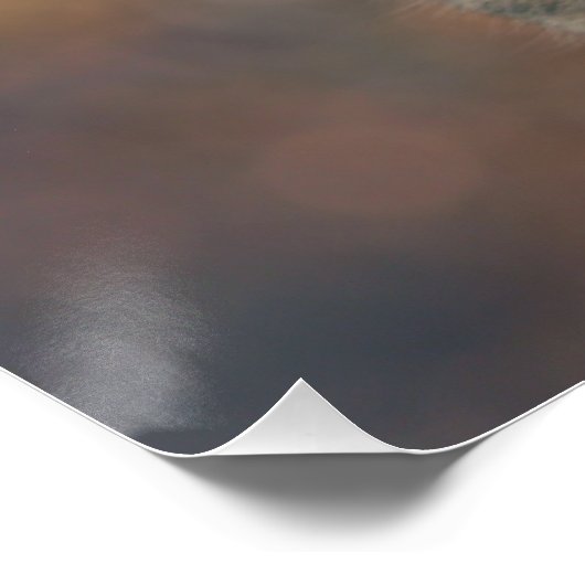 Brin Perfect Poster (Hoek)