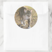 Brin Ronde Sticker (Tas)