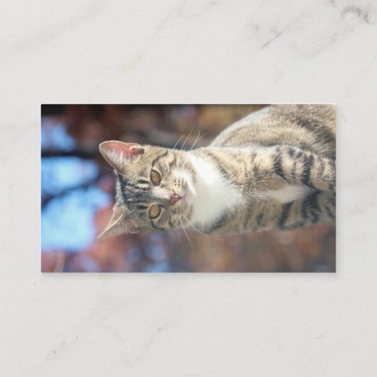 Brin Visitekaartje (Achterkant)