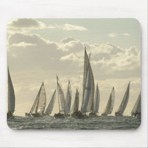 Brindisi naar Kerkira regatta Muismat