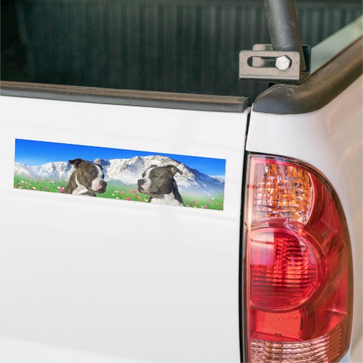 Brindle & Blue Staffordshire & Pit Bull Dogs Bumpersticker (Op Truck)