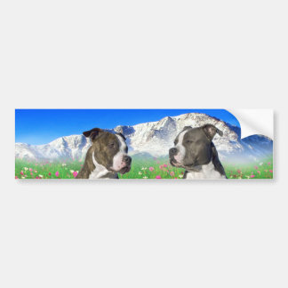 Brindle & Blue Staffordshire & Pit Bull Dogs Bumpersticker