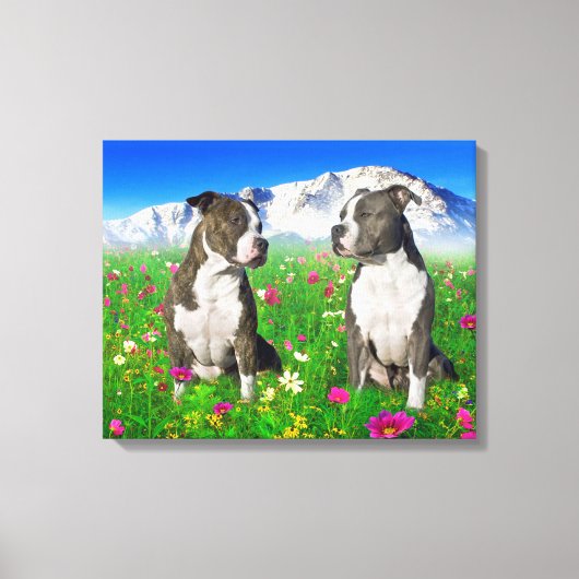 Brindle & Blue Staffordshire & Pit Bull Dogs Canvas Afdruk (Voorkant)