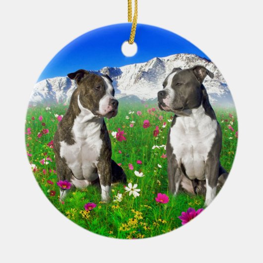 Brindle & Blue Staffordshire & Pit Bull Dogs Keramisch Ornament (Voorkant)