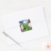 Brindle & Blue Staffordshire & Pit Bull Dogs Vierkante Sticker (Envelop)