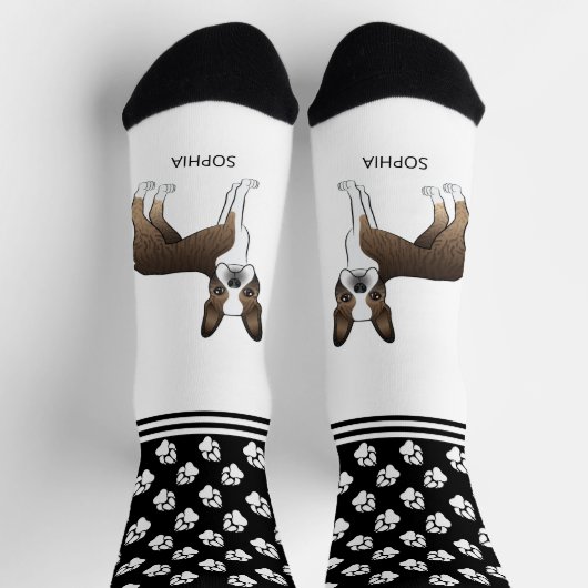 Brindle Boston Terrier met naam en poten Sokken (Top)