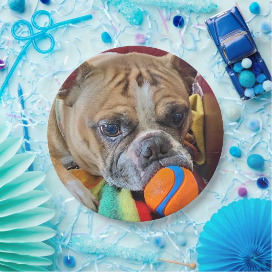 Brindle Boston Terrier Paper Bord (Feest)