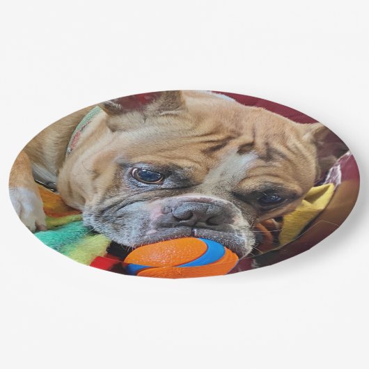 Brindle Boston Terrier Paper Bord (Gekanteld)