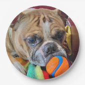 Brindle Boston Terrier Paper Bord (Voorkant)