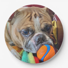 Brindle Boston Terrier Paper Bord