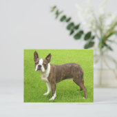 Brindle Boston Terrier Puppy Dog Denken aan jou Briefkaart (Staand voorkant)