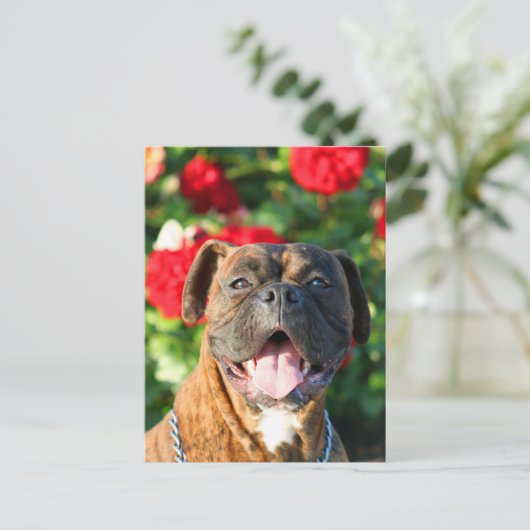 Brindle boxer Briefkaart (Staand voorkant)