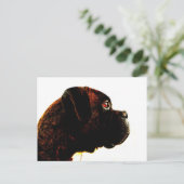 Brindle boxer-briefkaart briefkaart (Staand voorkant)