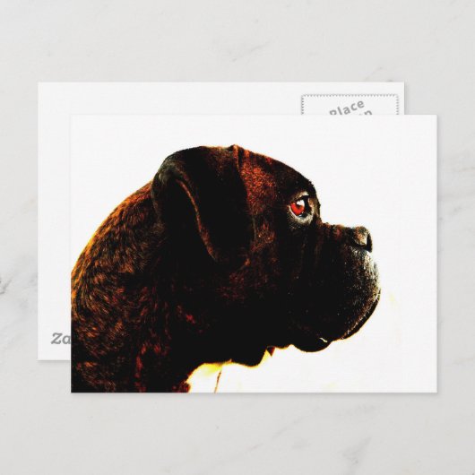 Brindle boxer-briefkaart briefkaart (Voorkant / Achterkant)
