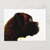 Brindle boxer-briefkaart briefkaart (Voorkant)