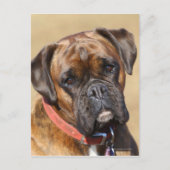 Brindle Boxer Dog Briefkaart (Voorkant)