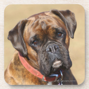 Brindle Boxer Dog Drankjes Onderzetter