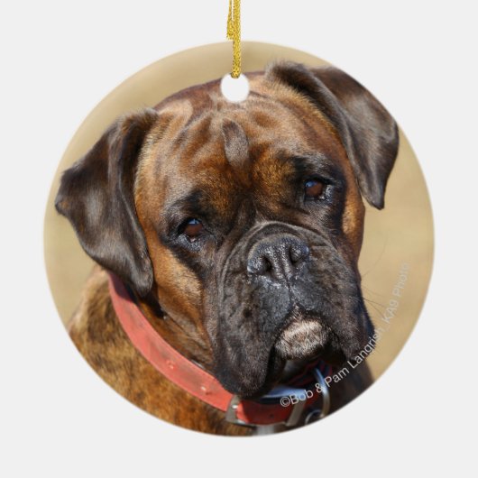 Brindle Boxer Dog Keramisch Ornament (Achterkant)