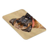 Brindle Boxer Dog Magneet (Rechterzijde)