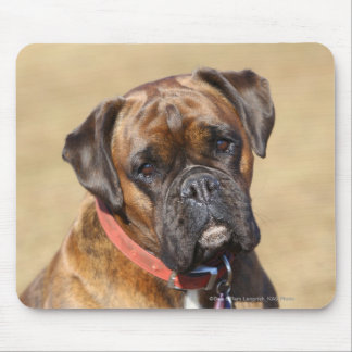Brindle Boxer Dog Muismat