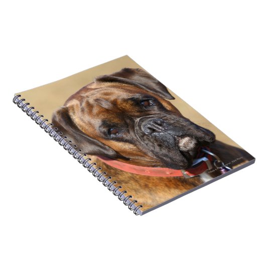 Brindle Boxer Dog Notitieboek (Rechterzijde)