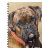 Brindle Boxer Dog Notitieboek (Voorkant)