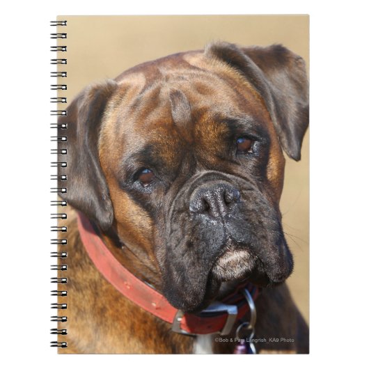 Brindle Boxer Dog Notitieboek (Voorkant)