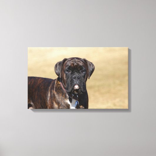 Brindle Boxer Dog Permanent Canvas Afdruk (Voorkant)