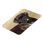 Brindle Boxer Dog Permanent Magneet (Linkerzijde)