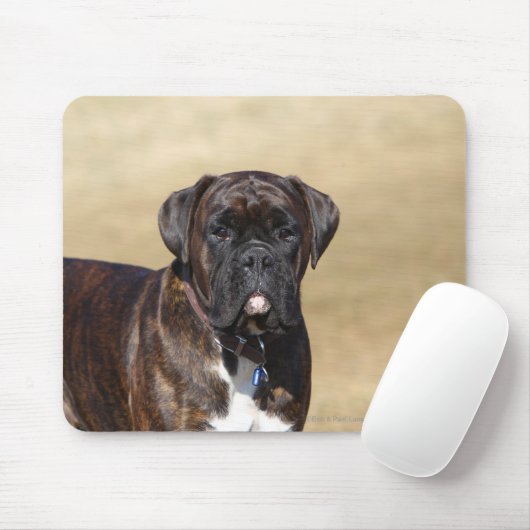 Brindle Boxer Dog Permanent Muismat (Met muis)