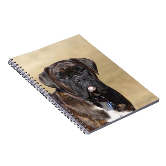 Brindle Boxer Dog Permanent Notitieboek (Rechterzijde)