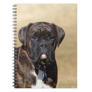 Brindle Boxer Dog Permanent Notitieboek