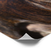 Brindle Boxer Dog Permanent Poster (Hoek)