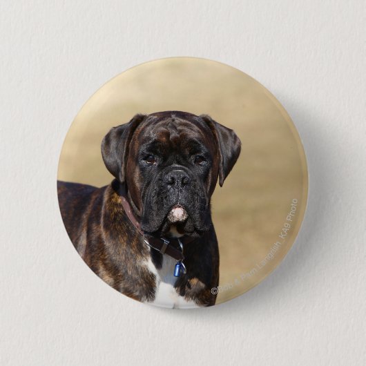 Brindle Boxer Dog Permanent Ronde Button 5,7 Cm (Voorkant)